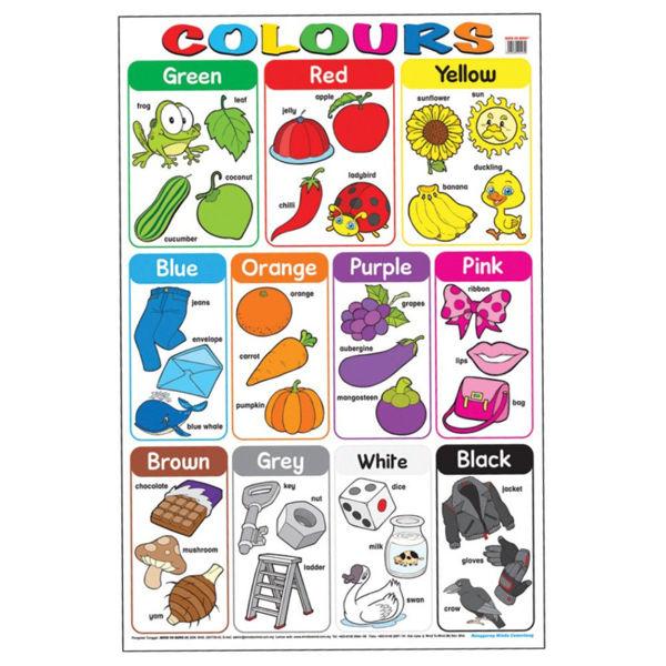 Picture of Educational Chart Colours