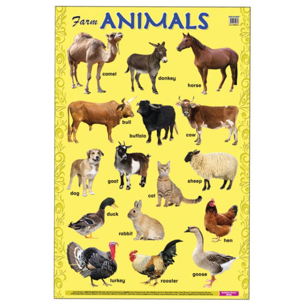 Picture of Educational Chart Farm Animals