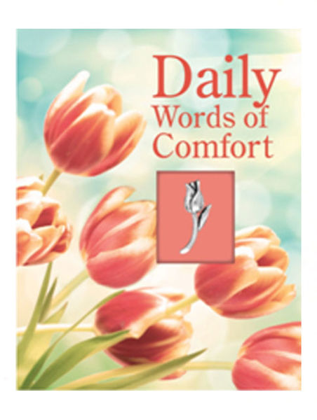Picture of DAILY WORDS OF COMFORT